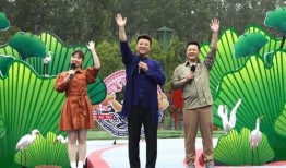 爱罗最新爆料新闻报道视频,揭秘幕后真相，视频内容引发热议