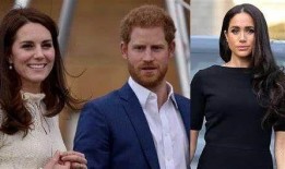 哈利王子最新爆料新闻,揭秘权力斗争与真实情感